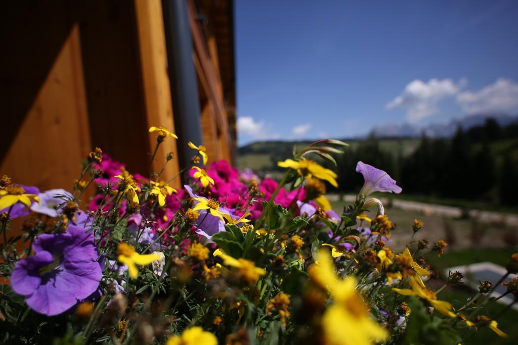 Sporthotel Floralpina Alpe Di Siusi Εξωτερικό φωτογραφία